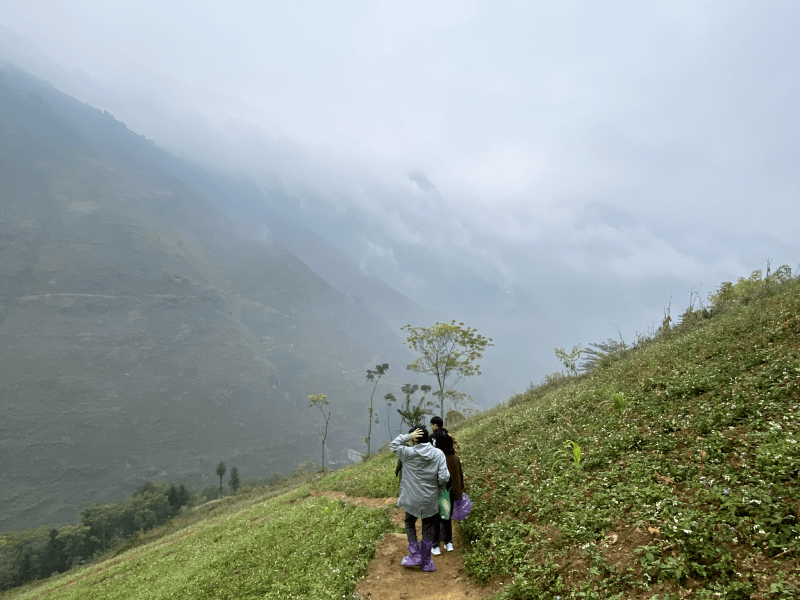 Ha giang